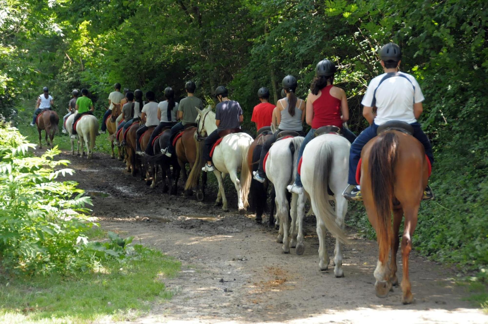 Camping Solau Espot Zewnętrze zdjęcie
